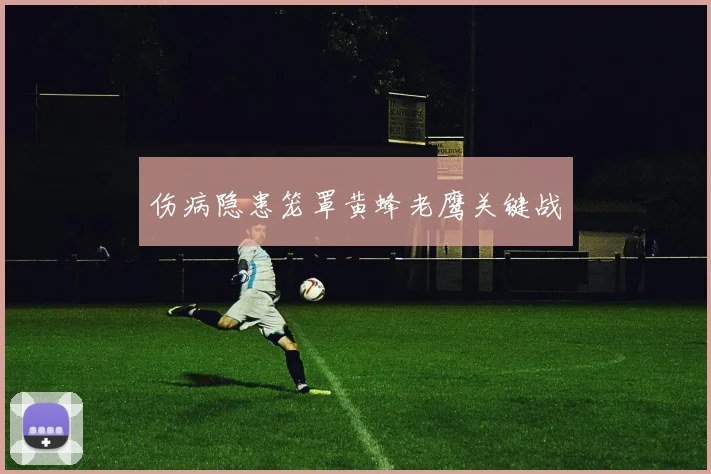 伤病隐患笼罩黄蜂老鹰关键战