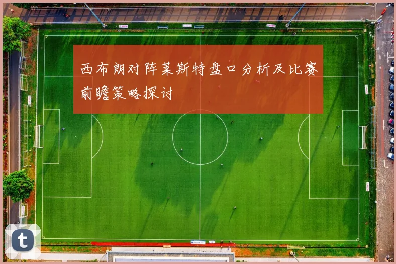西布朗对阵莱斯特盘口分析及比赛前瞻策略探讨