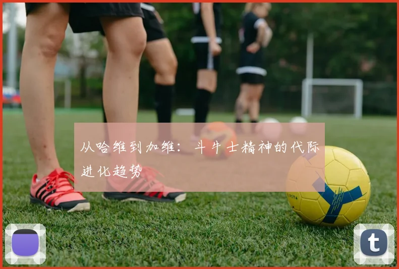 从哈维到加维：斗牛士精神的代际进化趋势