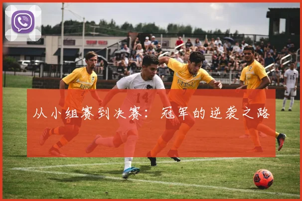 从小组赛到决赛：冠军的逆袭之路