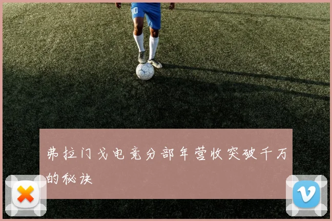 弗拉门戈电竞分部年营收突破千万的秘诀