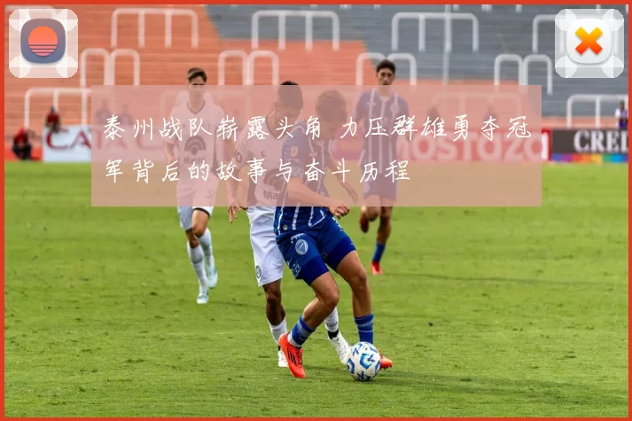 泰州战队崭露头角 力压群雄勇夺冠军背后的故事与奋斗历程